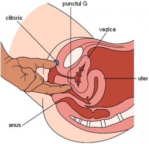 punctul G la femei 